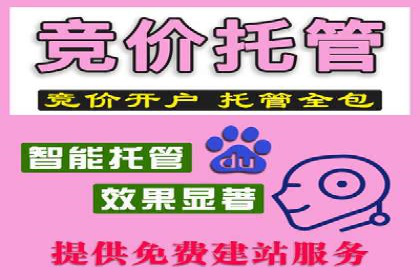 百度竞价排名服务：成功案例解析